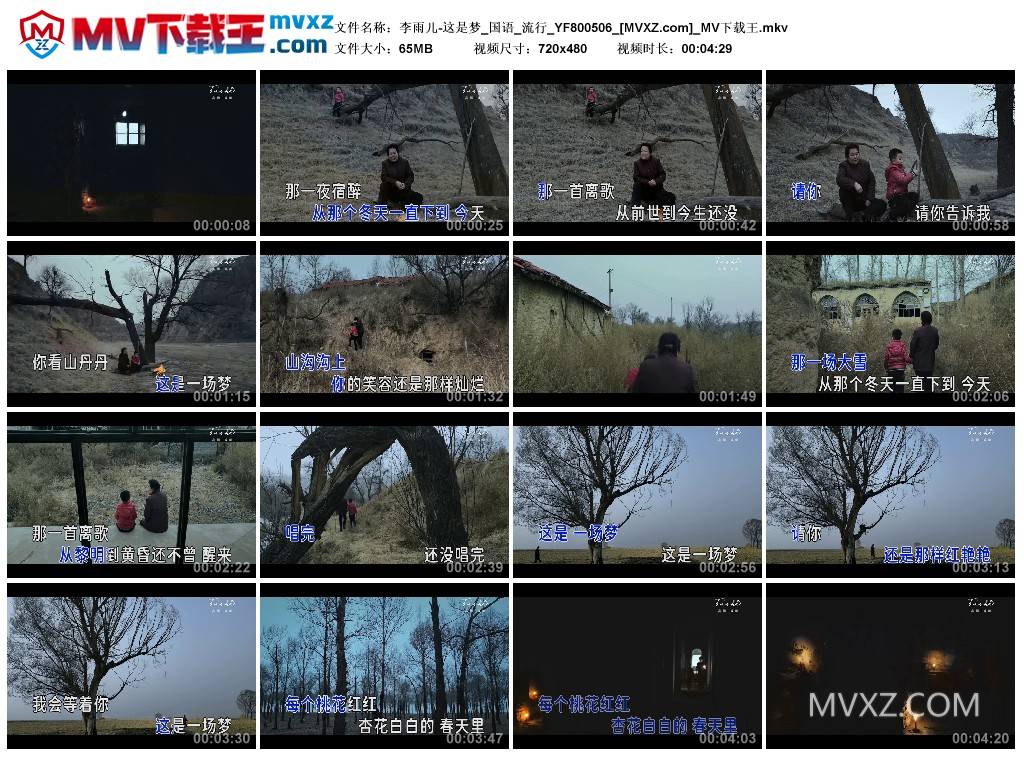 李雨儿-这是梦_国语_流行_YF800506